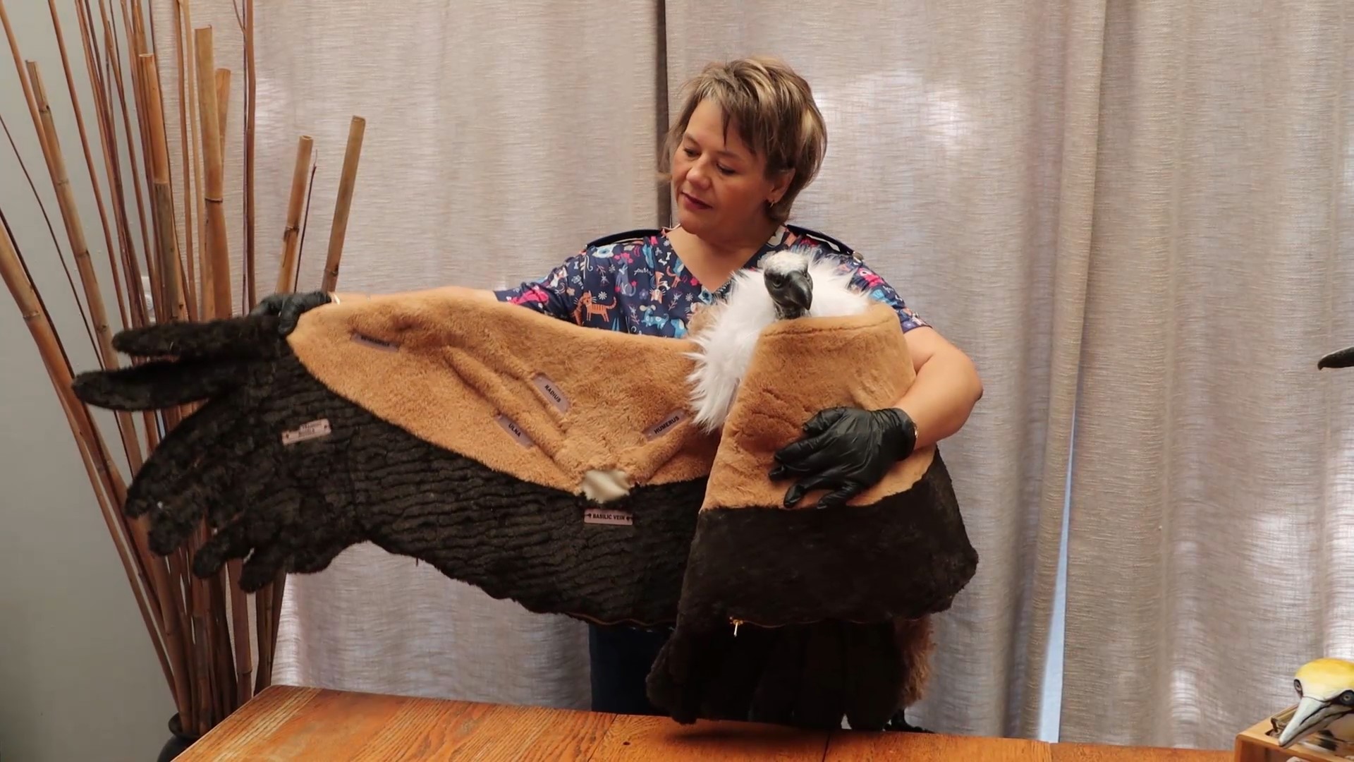 MIMIC's founder demonstrating a vulture training simulator